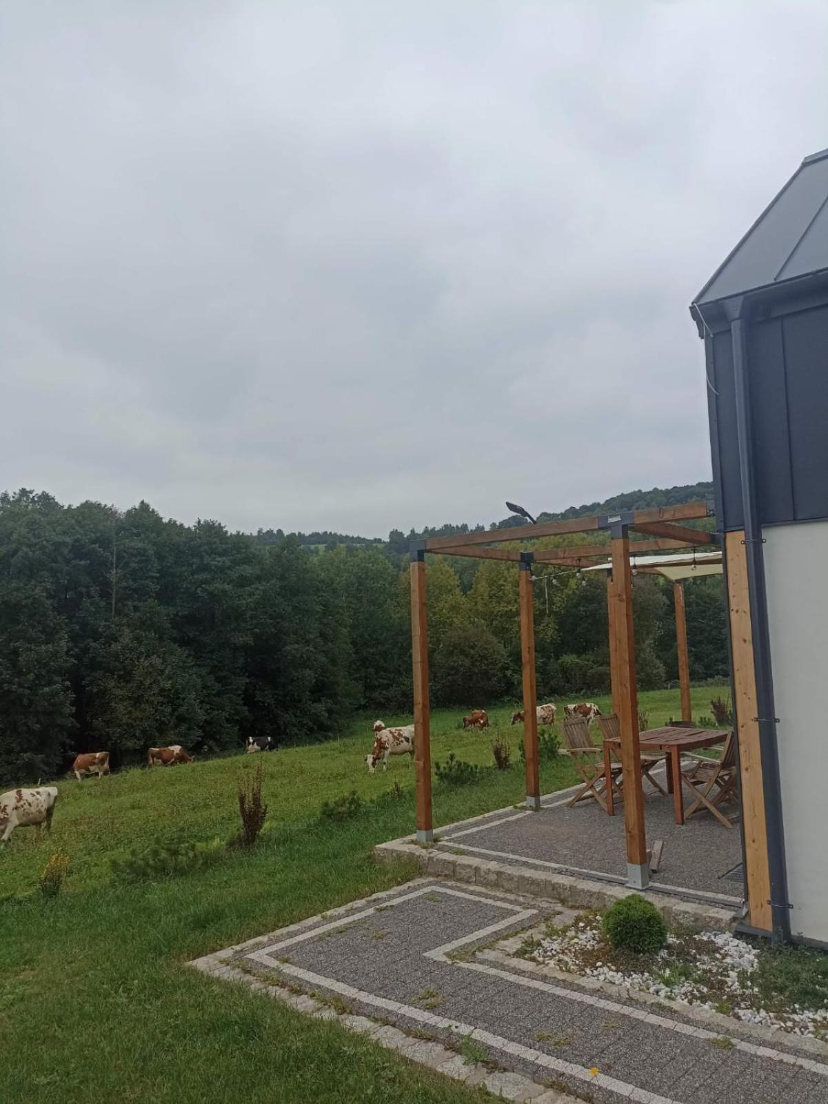 Maraska Holiday House Kamienna Gora Buitenkant foto